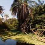 Banjul–Abuko Naturreservat - Banjul - Gambia